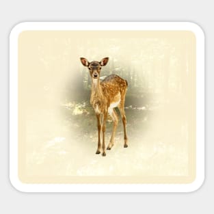 Fallow deer fawn Sticker